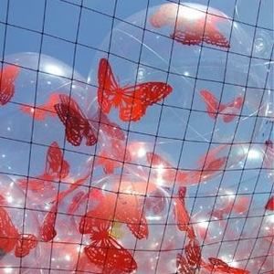 Meet your Posher, Sonia